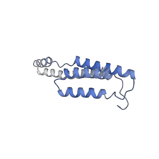 10177_6sga_Fb_v1-1
Body domain of the mt-SSU assemblosome from Trypanosoma brucei