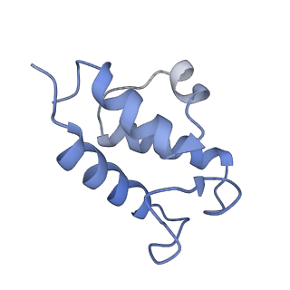 10177_6sga_Fc_v1-1
Body domain of the mt-SSU assemblosome from Trypanosoma brucei