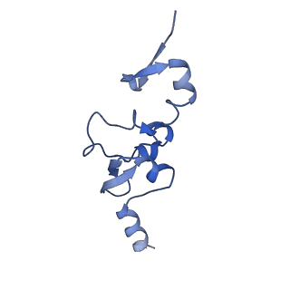 10177_6sga_Fd_v1-1
Body domain of the mt-SSU assemblosome from Trypanosoma brucei