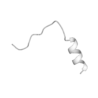 10177_6sga_UL_v1-1
Body domain of the mt-SSU assemblosome from Trypanosoma brucei