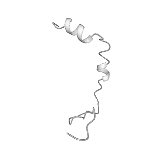 10177_6sga_UP_v1-1
Body domain of the mt-SSU assemblosome from Trypanosoma brucei