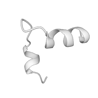 10177_6sga_UU_v1-1
Body domain of the mt-SSU assemblosome from Trypanosoma brucei