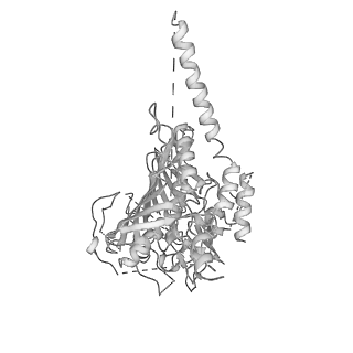 10177_6sga_UY_v1-1
Body domain of the mt-SSU assemblosome from Trypanosoma brucei