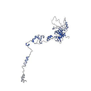 10180_6sgb_CE_v1-0
mt-SSU assemblosome of Trypanosoma brucei