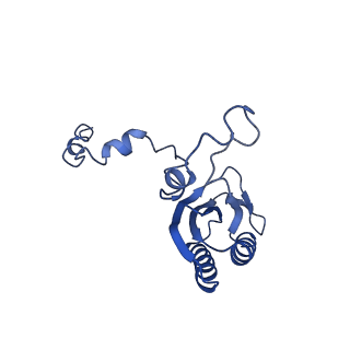 10180_6sgb_CF_v1-0
mt-SSU assemblosome of Trypanosoma brucei