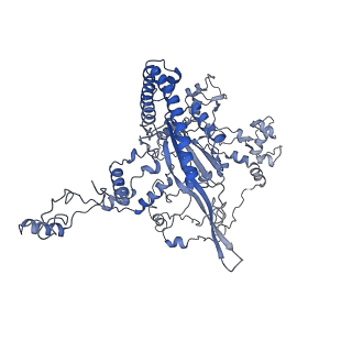 10180_6sgb_CJ_v1-0
mt-SSU assemblosome of Trypanosoma brucei