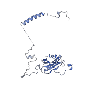 10180_6sgb_CK_v1-0
mt-SSU assemblosome of Trypanosoma brucei