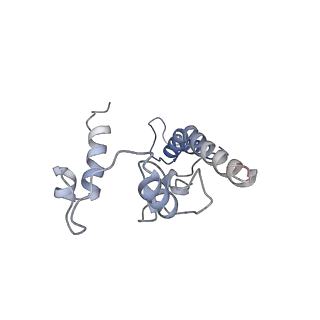 10180_6sgb_CN_v1-0
mt-SSU assemblosome of Trypanosoma brucei