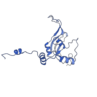 10180_6sgb_CP_v1-0
mt-SSU assemblosome of Trypanosoma brucei