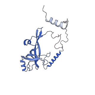 10180_6sgb_CQ_v1-0
mt-SSU assemblosome of Trypanosoma brucei