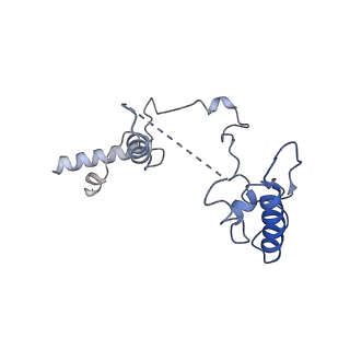 10180_6sgb_CR_v1-0
mt-SSU assemblosome of Trypanosoma brucei