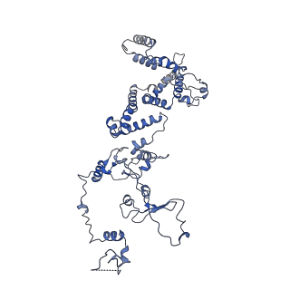 10180_6sgb_Ca_v1-0
mt-SSU assemblosome of Trypanosoma brucei