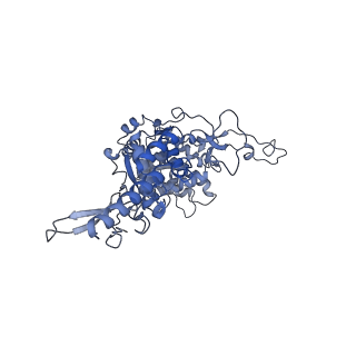 10180_6sgb_Cg_v1-0
mt-SSU assemblosome of Trypanosoma brucei