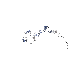10180_6sgb_Ci_v1-0
mt-SSU assemblosome of Trypanosoma brucei