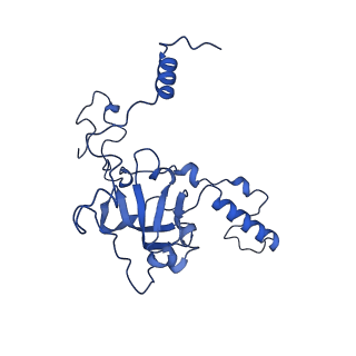 10180_6sgb_Cj_v1-0
mt-SSU assemblosome of Trypanosoma brucei