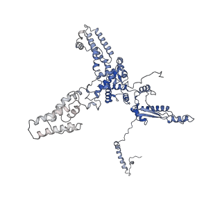 10180_6sgb_Ck_v1-0
mt-SSU assemblosome of Trypanosoma brucei