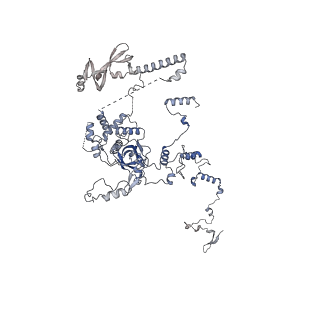 10180_6sgb_DB_v1-0
mt-SSU assemblosome of Trypanosoma brucei
