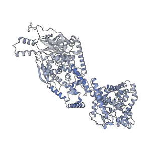 10180_6sgb_DC_v1-0
mt-SSU assemblosome of Trypanosoma brucei