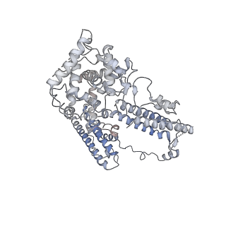 10180_6sgb_DE_v1-0
mt-SSU assemblosome of Trypanosoma brucei