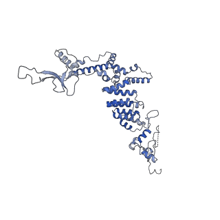 10180_6sgb_DF_v1-0
mt-SSU assemblosome of Trypanosoma brucei