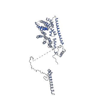 10180_6sgb_DH_v1-0
mt-SSU assemblosome of Trypanosoma brucei