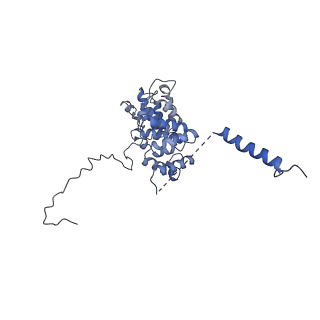 10180_6sgb_DJ_v1-0
mt-SSU assemblosome of Trypanosoma brucei
