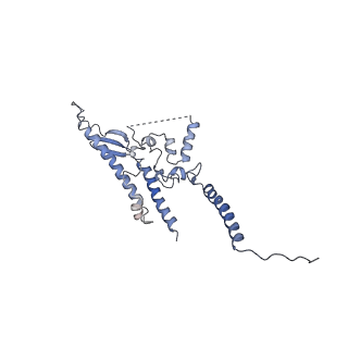 10180_6sgb_DK_v1-0
mt-SSU assemblosome of Trypanosoma brucei