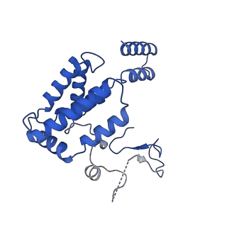 10180_6sgb_DL_v1-0
mt-SSU assemblosome of Trypanosoma brucei