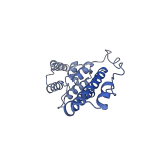 10180_6sgb_DO_v1-0
mt-SSU assemblosome of Trypanosoma brucei
