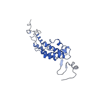 10180_6sgb_DP_v1-0
mt-SSU assemblosome of Trypanosoma brucei