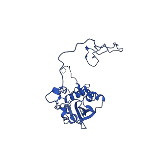 10180_6sgb_DR_v1-0
mt-SSU assemblosome of Trypanosoma brucei