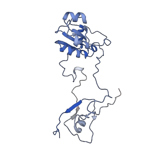 10180_6sgb_DT_v1-0
mt-SSU assemblosome of Trypanosoma brucei