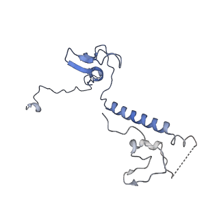 10180_6sgb_DV_v1-0
mt-SSU assemblosome of Trypanosoma brucei