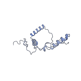 10180_6sgb_DW_v1-0
mt-SSU assemblosome of Trypanosoma brucei