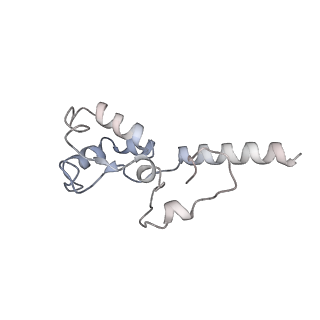 10180_6sgb_DX_v1-0
mt-SSU assemblosome of Trypanosoma brucei
