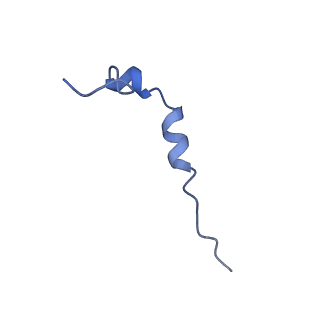 10180_6sgb_DZ_v1-0
mt-SSU assemblosome of Trypanosoma brucei
