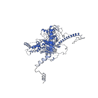 10180_6sgb_F1_v1-0
mt-SSU assemblosome of Trypanosoma brucei