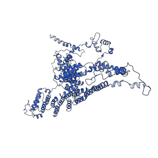 10180_6sgb_F2_v1-0
mt-SSU assemblosome of Trypanosoma brucei