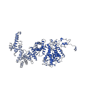 10180_6sgb_F3_v1-0
mt-SSU assemblosome of Trypanosoma brucei