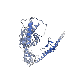 10180_6sgb_F6_v1-0
mt-SSU assemblosome of Trypanosoma brucei
