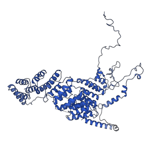 10180_6sgb_F7_v1-0
mt-SSU assemblosome of Trypanosoma brucei