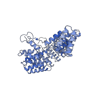10180_6sgb_FA_v1-0
mt-SSU assemblosome of Trypanosoma brucei