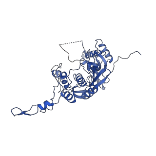 10180_6sgb_FB_v1-0
mt-SSU assemblosome of Trypanosoma brucei