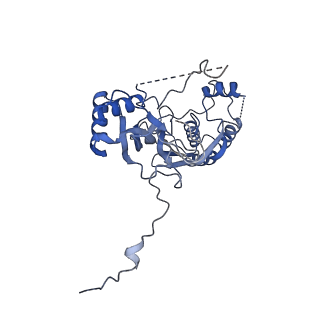 10180_6sgb_FC_v1-0
mt-SSU assemblosome of Trypanosoma brucei