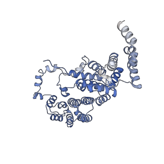 10180_6sgb_FD_v1-0
mt-SSU assemblosome of Trypanosoma brucei