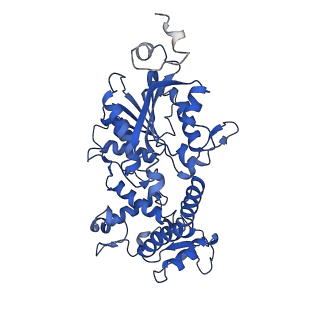 10180_6sgb_FE_v1-0
mt-SSU assemblosome of Trypanosoma brucei