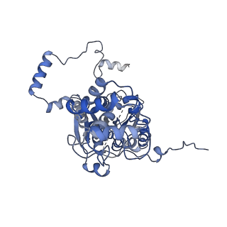 10180_6sgb_FF_v1-0
mt-SSU assemblosome of Trypanosoma brucei