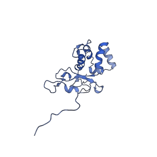 10180_6sgb_FG_v1-0
mt-SSU assemblosome of Trypanosoma brucei