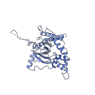 10180_6sgb_FH_v1-0
mt-SSU assemblosome of Trypanosoma brucei