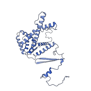 10180_6sgb_FI_v1-0
mt-SSU assemblosome of Trypanosoma brucei